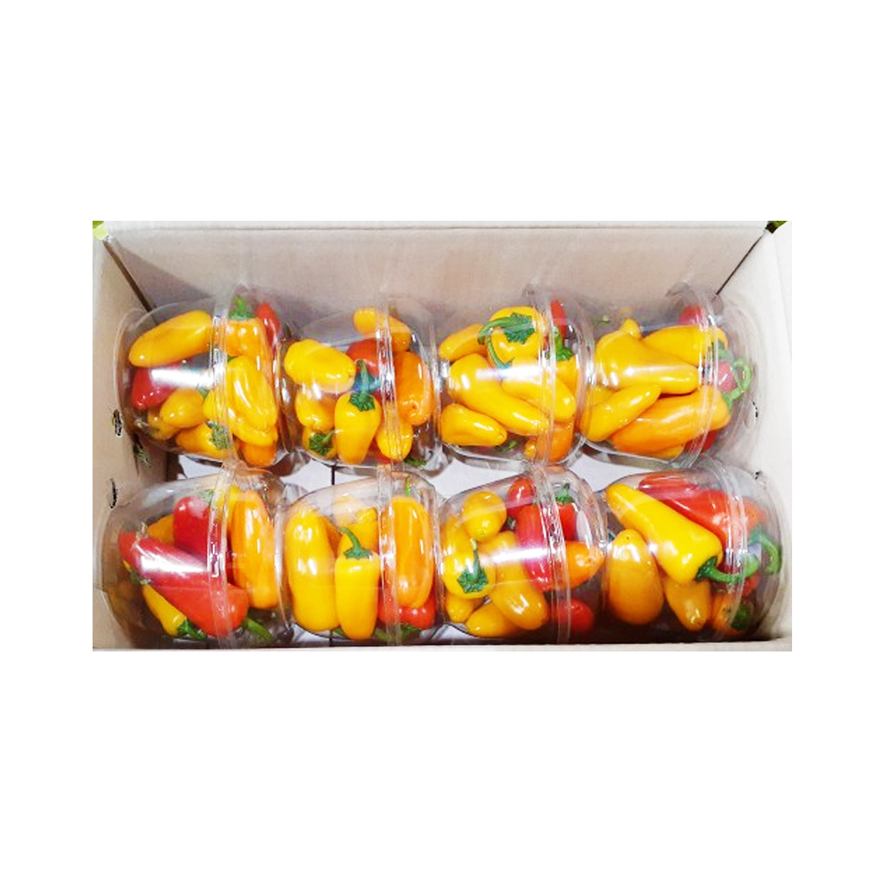 미니파프_도곡_8팩