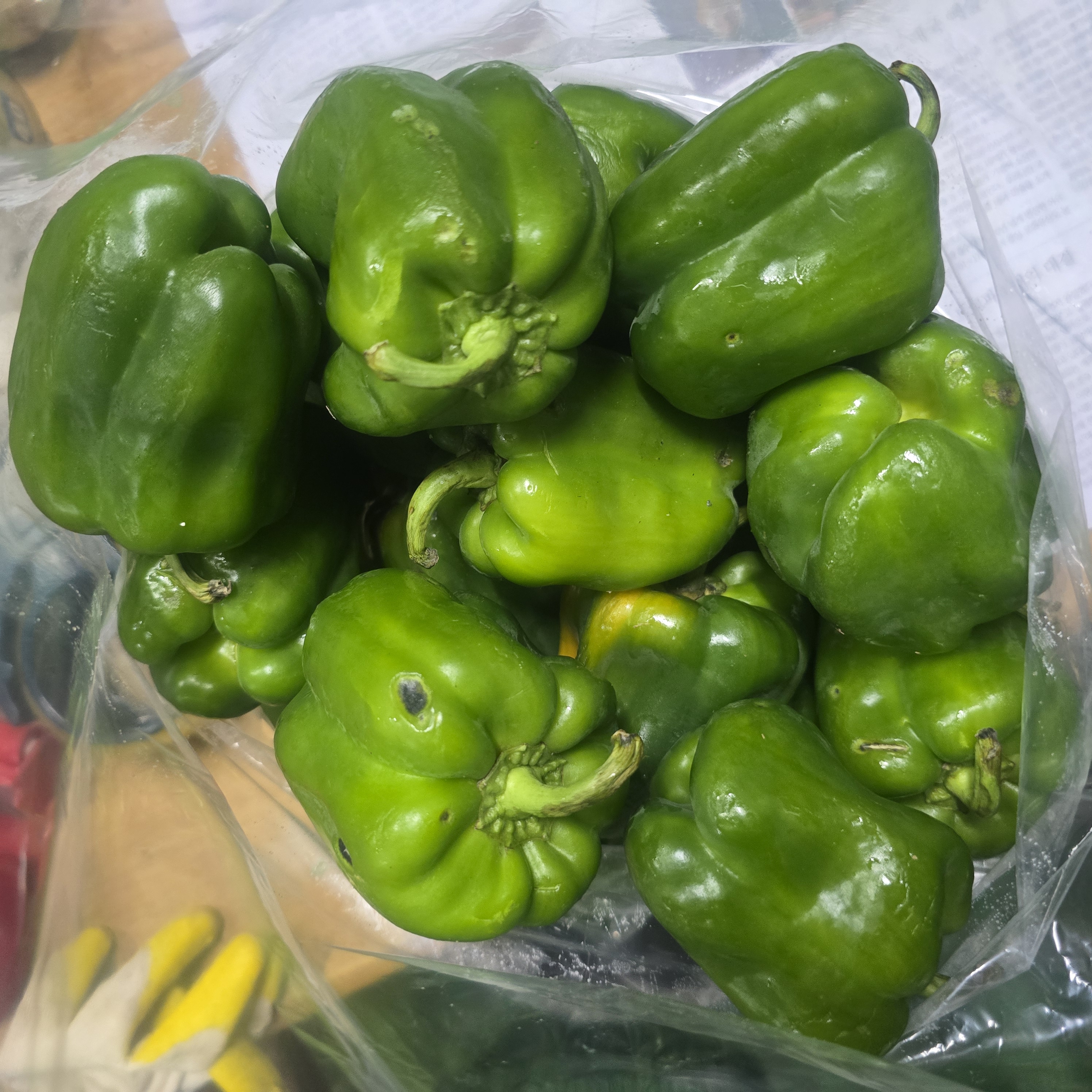 청피망_비품 2.8kg