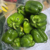 청피망_비품 2.8kg