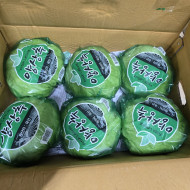 양상추포장_12입