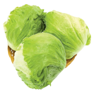 포장양상추(12입)(낱개)