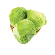 벌크양상추_6입_4kg