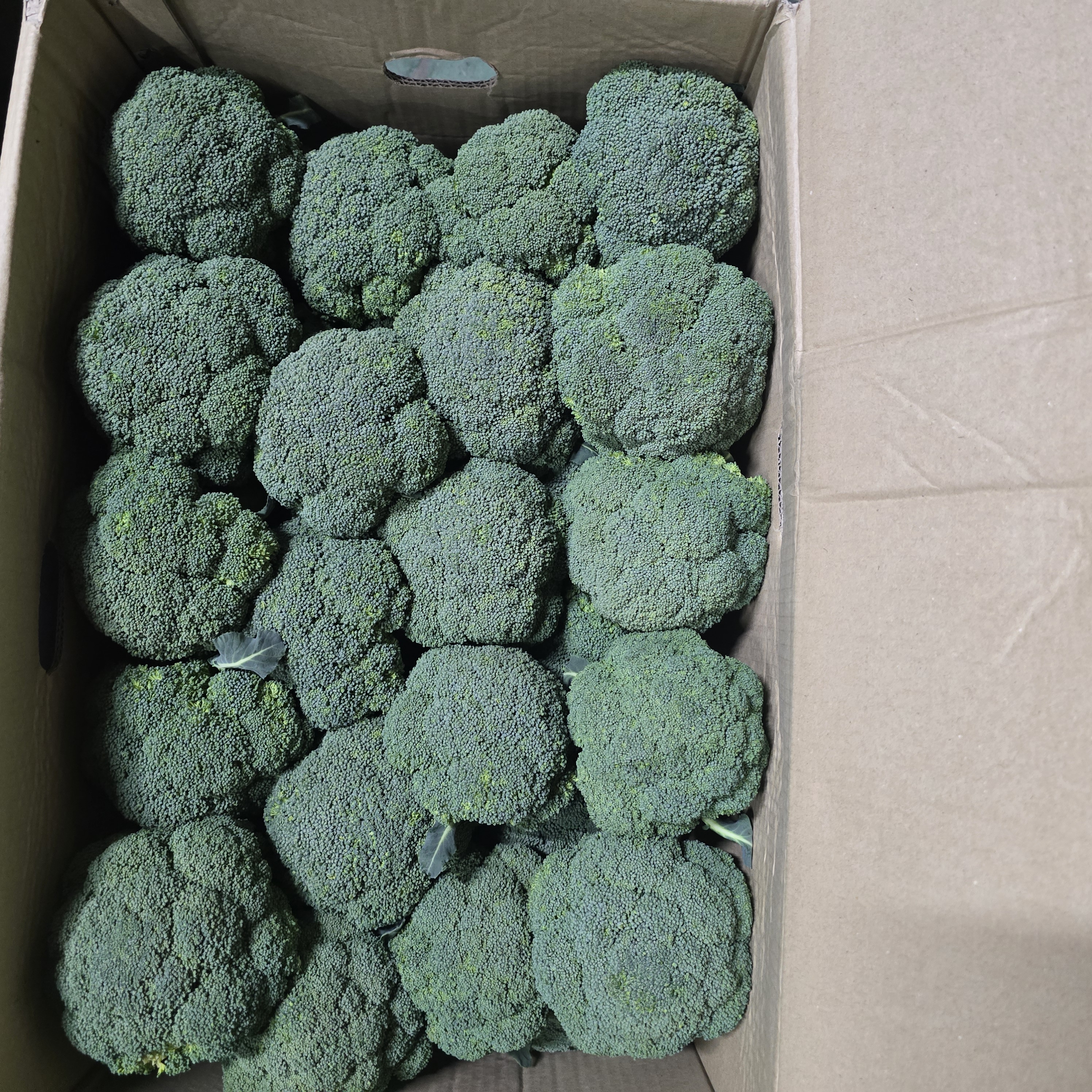 국산 브로코리(6kg)스티