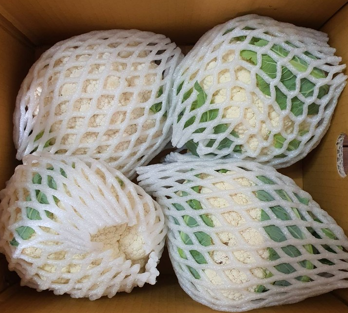 칼리플라워 (9~12입)