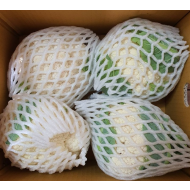 칼리플라워 (9~12입)