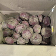 알비트_상_10kg