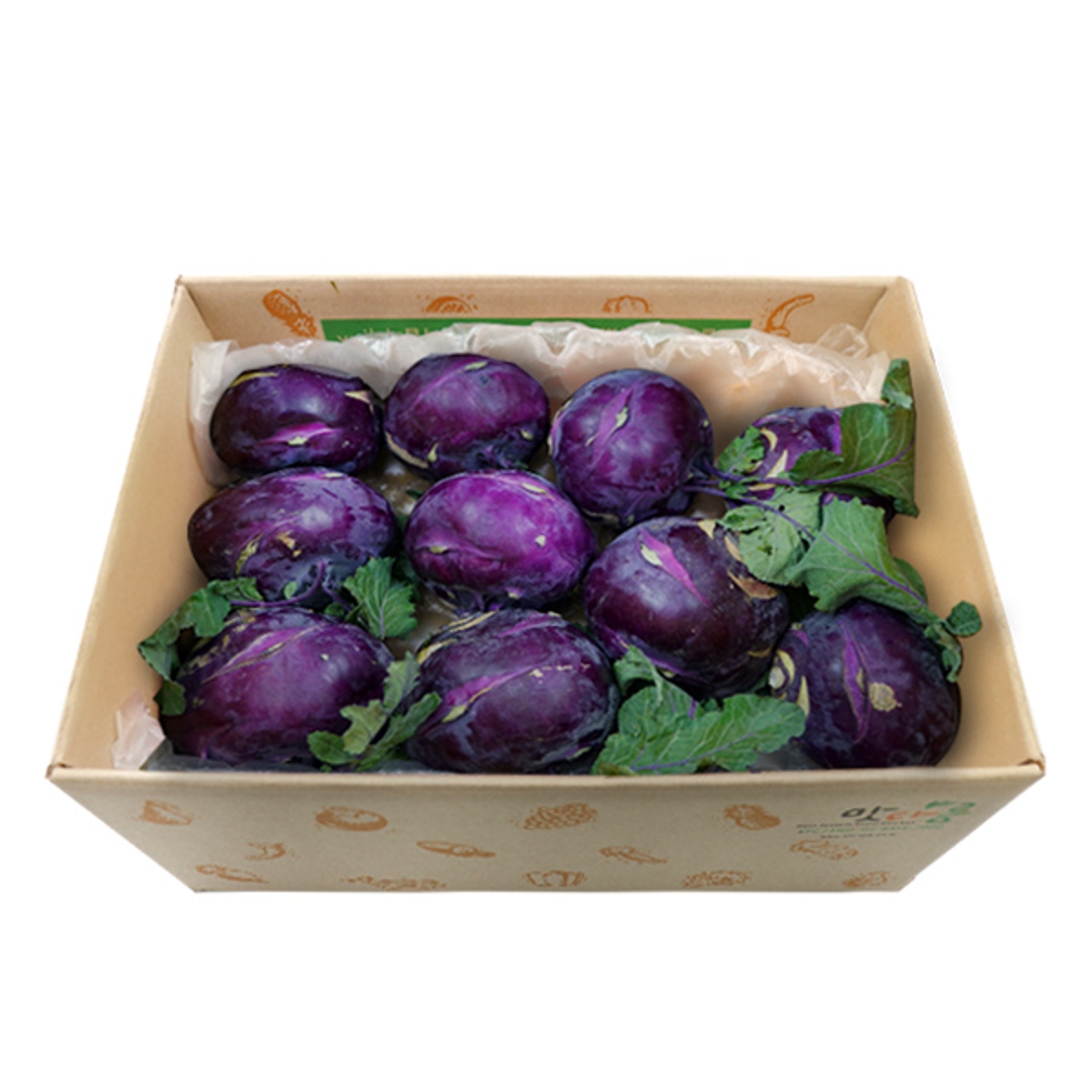 콜라비_20과_10kg