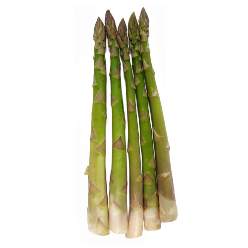 아스파라거스_1kg단_수입