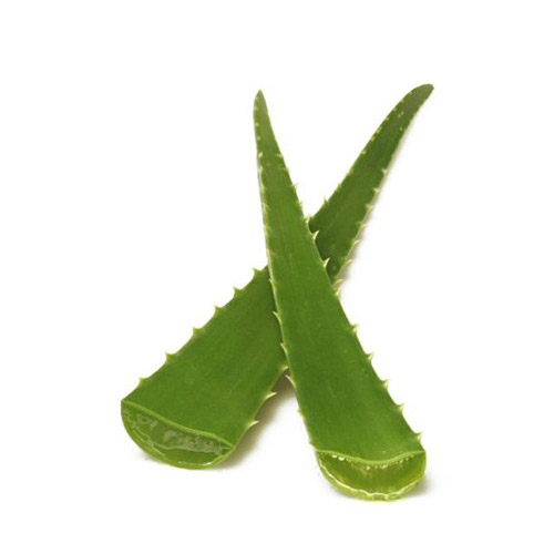 알로애(줄기)BOX