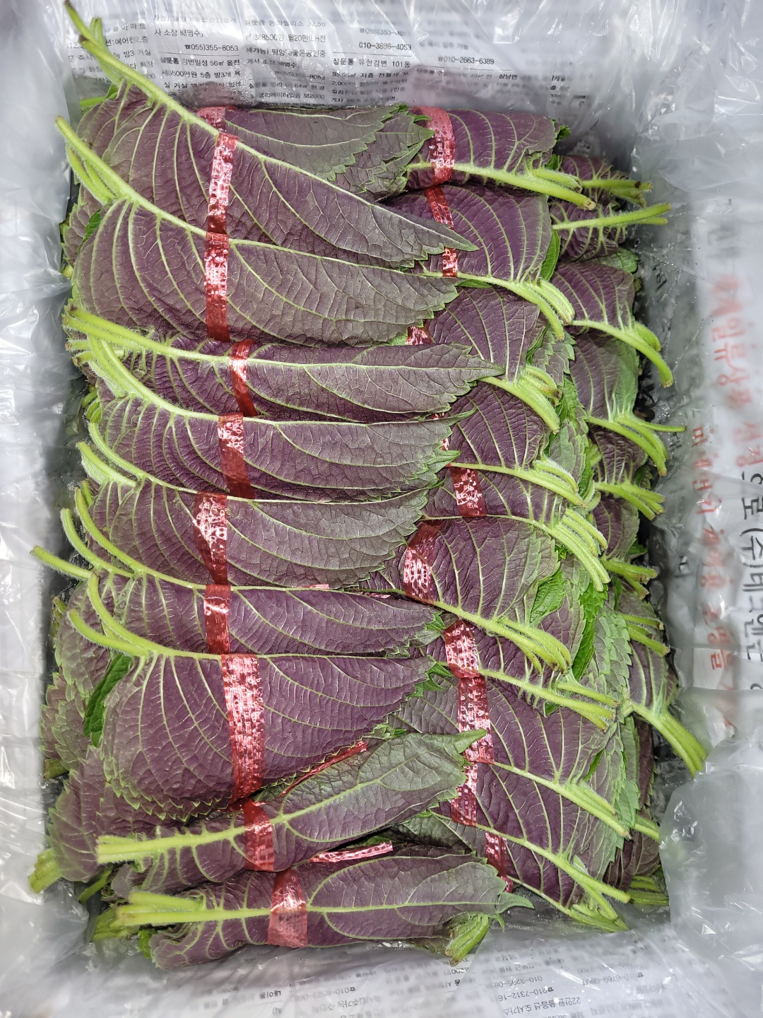 서울깻잎_100속_3kg