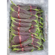 서울깻잎_100속_3kg