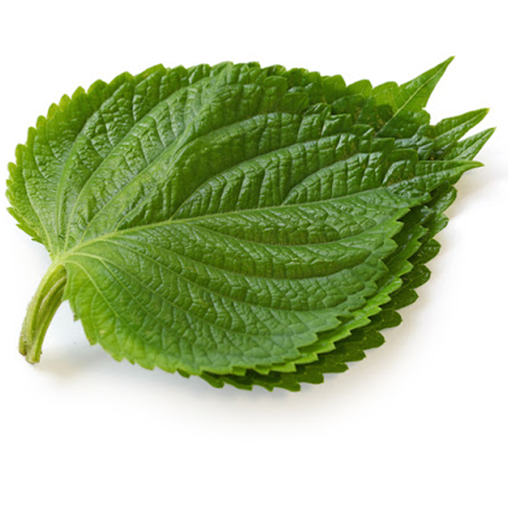 밀양깻잎(50속)(5개)