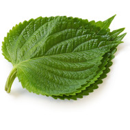 밀양깻잎(50속)(5개)