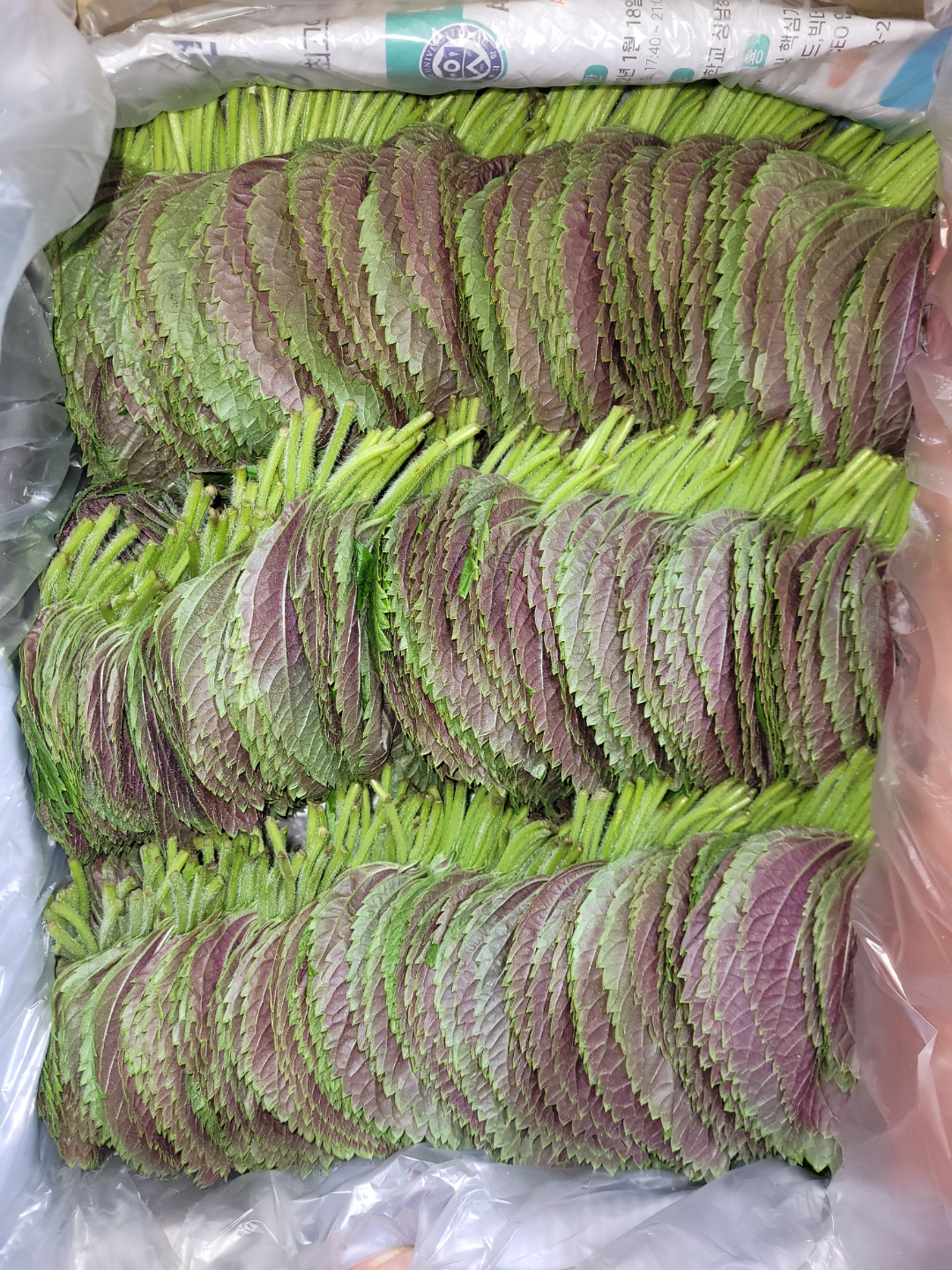 찹바라깻잎밀양_1kg