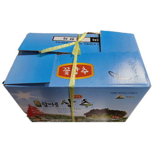 꽃상추