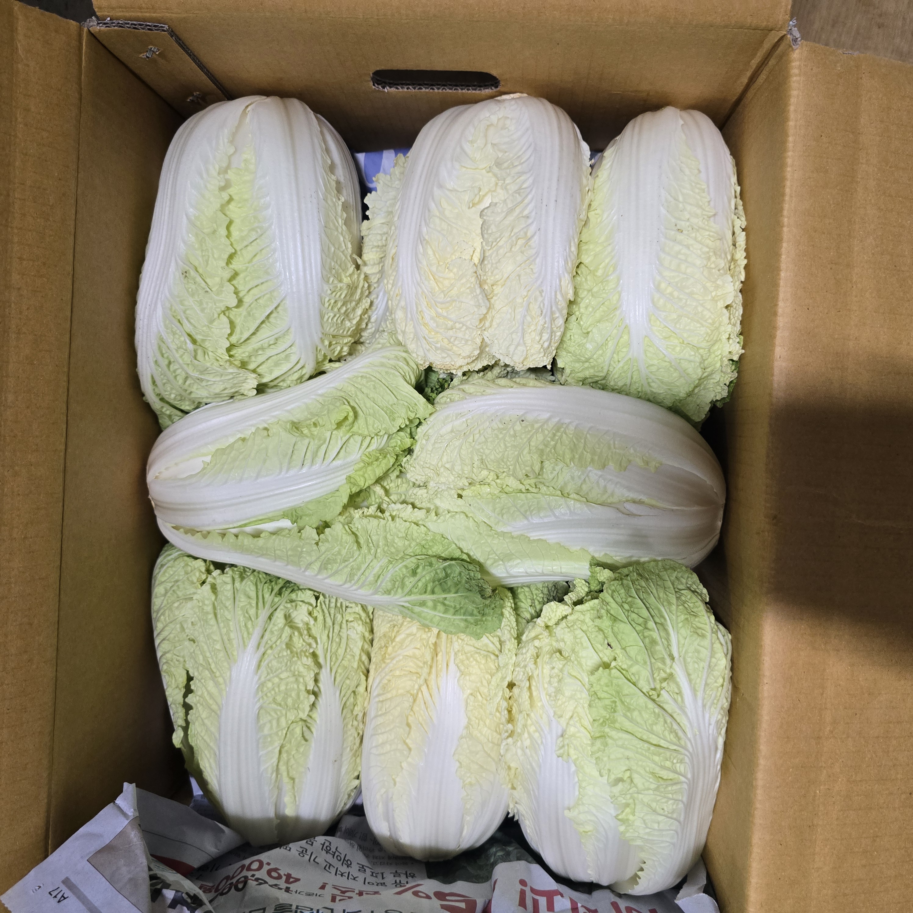 알배기상_서울_12입