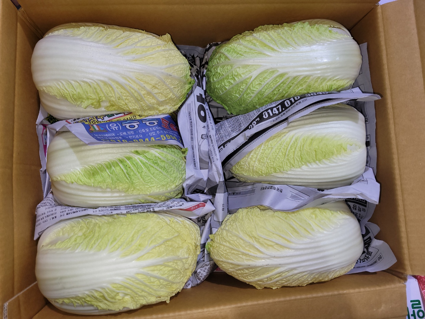 알배기상_서울_12입