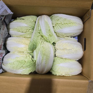 알배기상_서울_12입