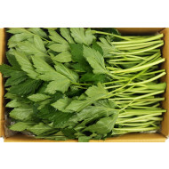 신선초_신쌈_2kg