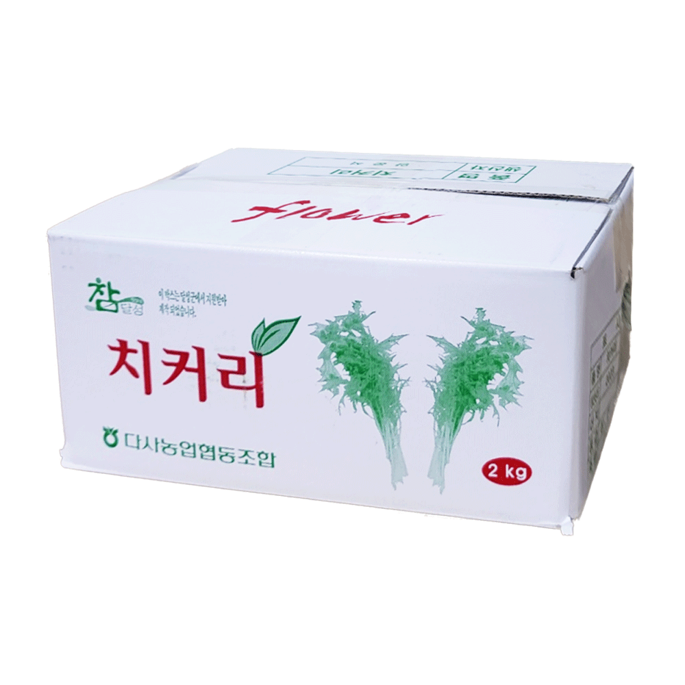 치커리지방_2kg_BOX