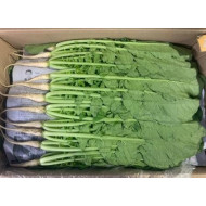 열무(긴열무박스) (4kg)