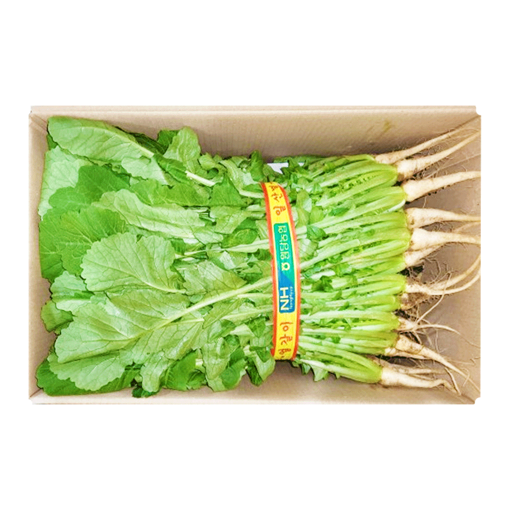 일산열무A(1.5kg)