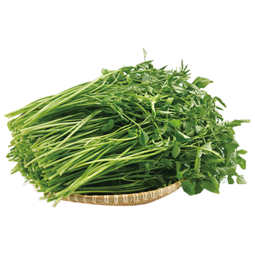 미나리/줄기(서울)(700g)