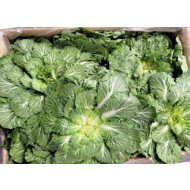 봄동배추_15kg