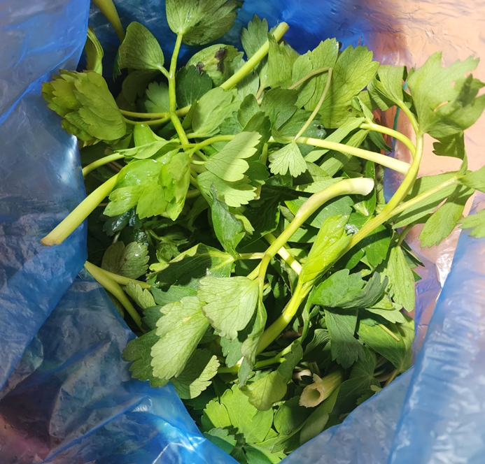 방풍_지방2kg봉지