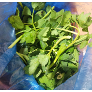 방풍_지방2kg봉지