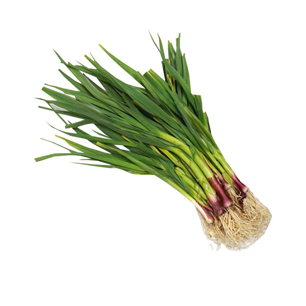 풋마늘_지방_1kg단