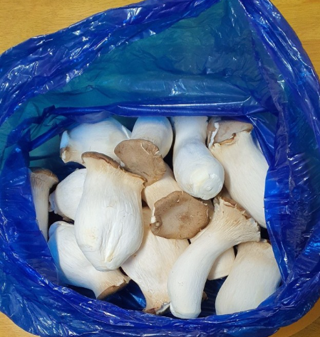 새송이/보통 (2kg)