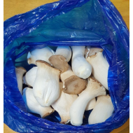 새송이/보통 (2kg)