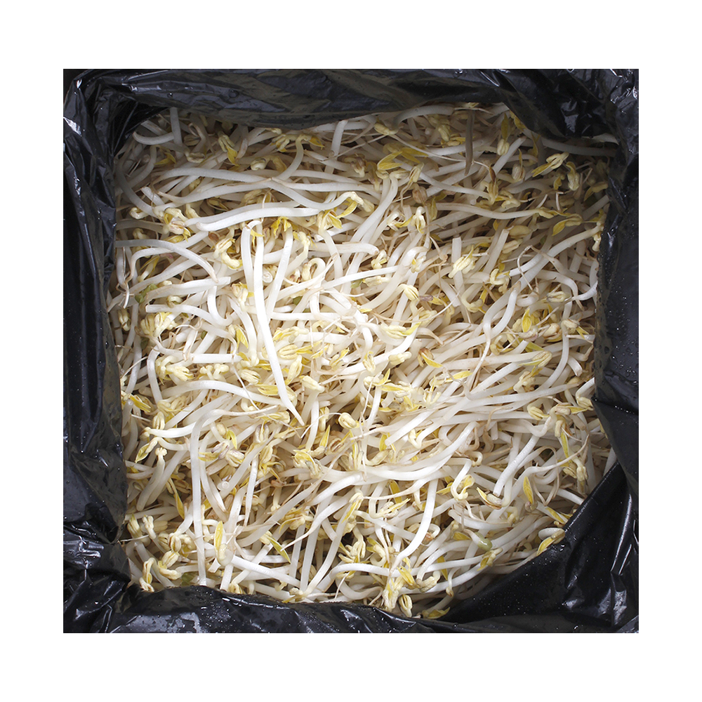 숙주