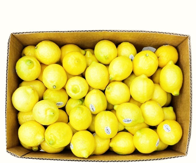 레몬_140과18kg_수입