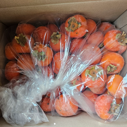 아이스홍시(미박)