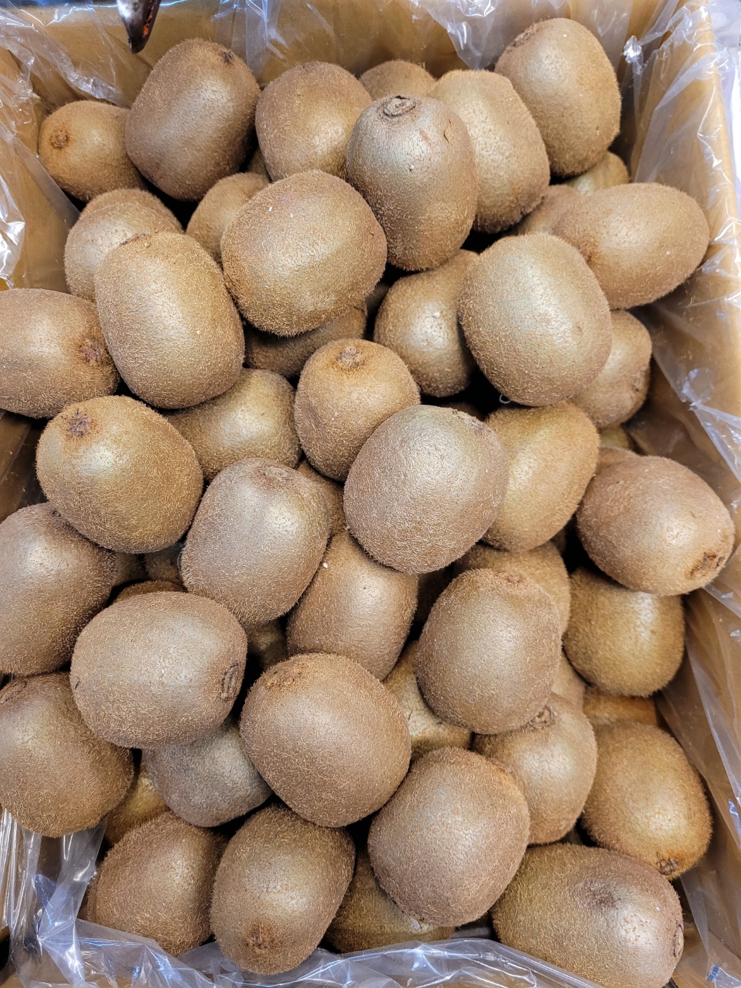 키위/참다래