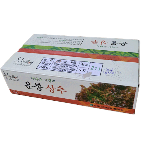 꽃상추/운봉 (2kg)