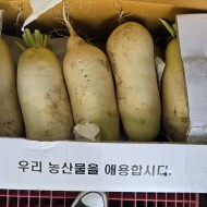 무우_상박스