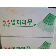 알타리무 _벌크5kg