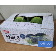 수입양배추_6입