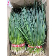 실파_특_500g