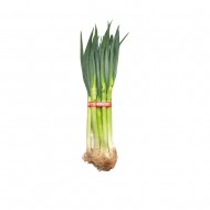 대파_벌크 _4kg