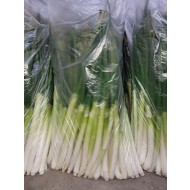 대파_깐대파10kg