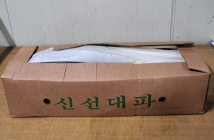 대파(깐대파)[수입] (10kg)