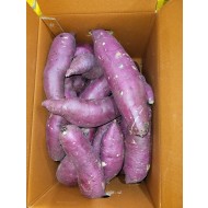 고구마긴왕 _10kg