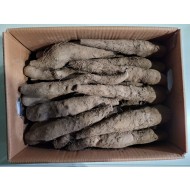 산마 _10kg