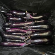 가지_상_5kg