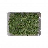 비타민순_100g[국내재배]