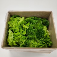 유럽종채소500g[국내재배]